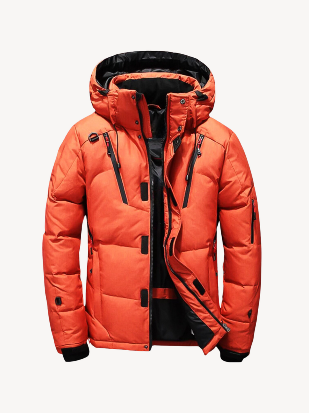 Arthur - Padded Puffer Jacket